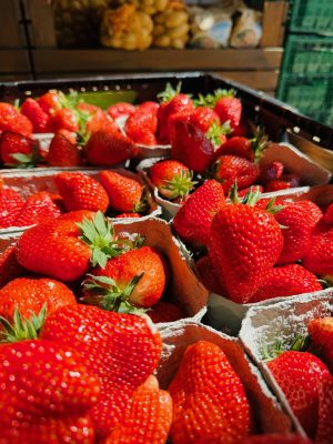Erdbeeren2024